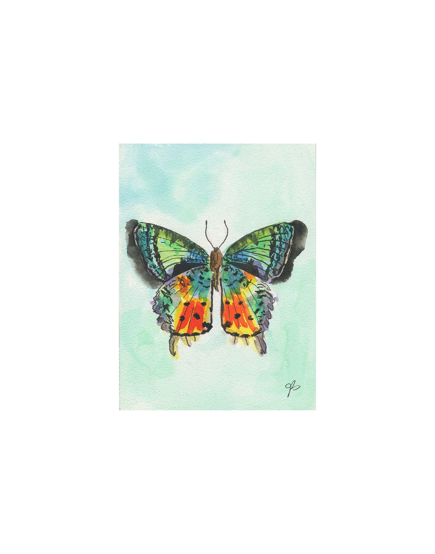 Sunset Moth Watercolor Art Print/ Insect Art/ Butterfly Art/ Home Decor