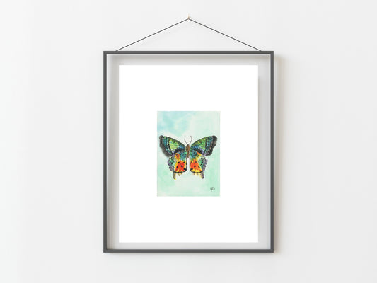 Sunset Moth Watercolor Art Print/ Insect Art/ Butterfly Art/ Home Decor